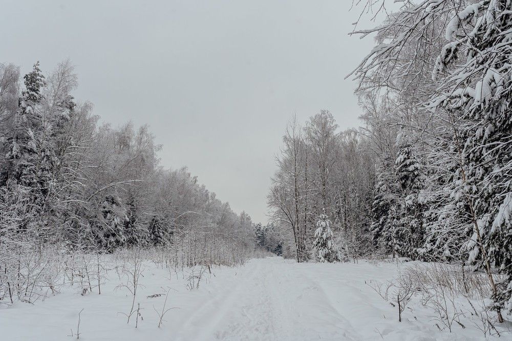 Photograph by Юлия Ефимова