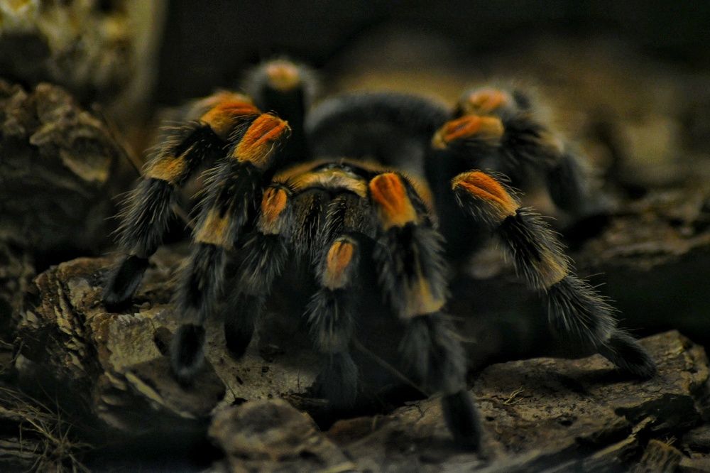 Photograph by Екатерина Абросова