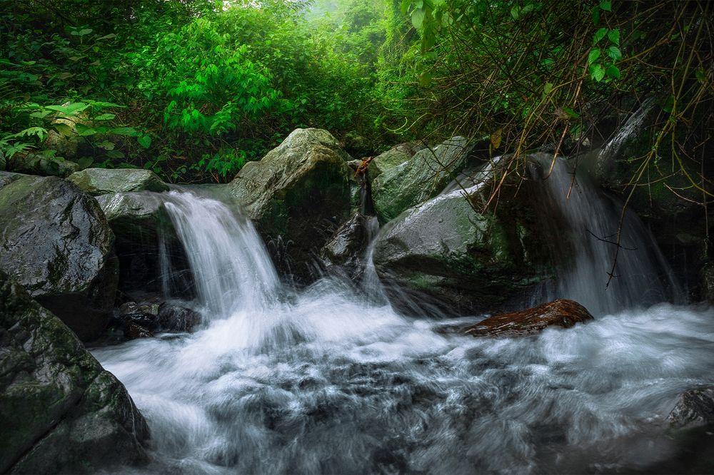 Photograph by Jayanta Guha