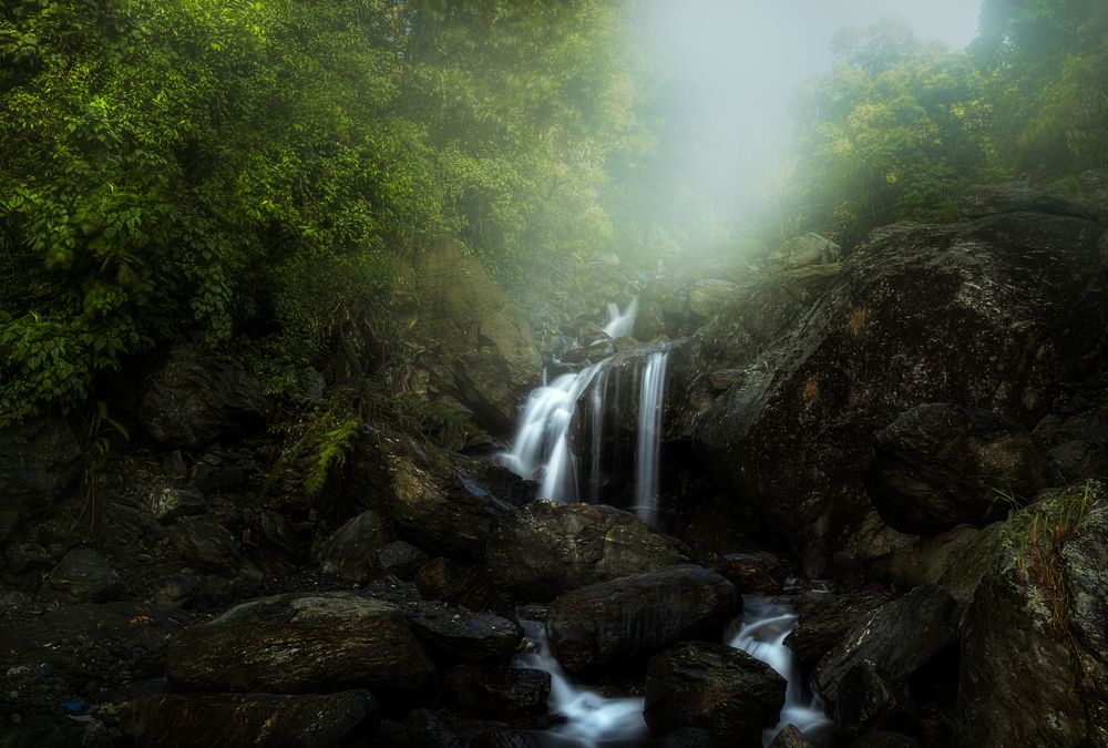 Photograph by Jayanta Guha