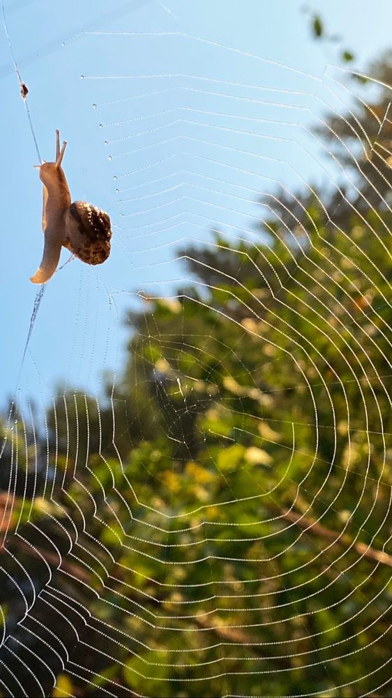 Photograph by Alexander