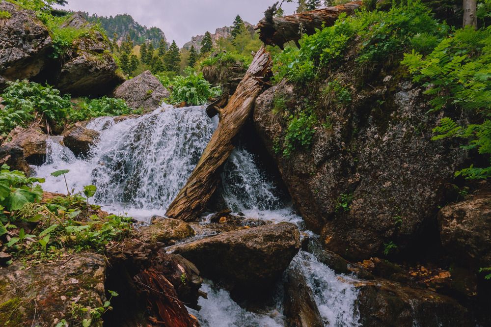 Photograph by Константин Шишкалов