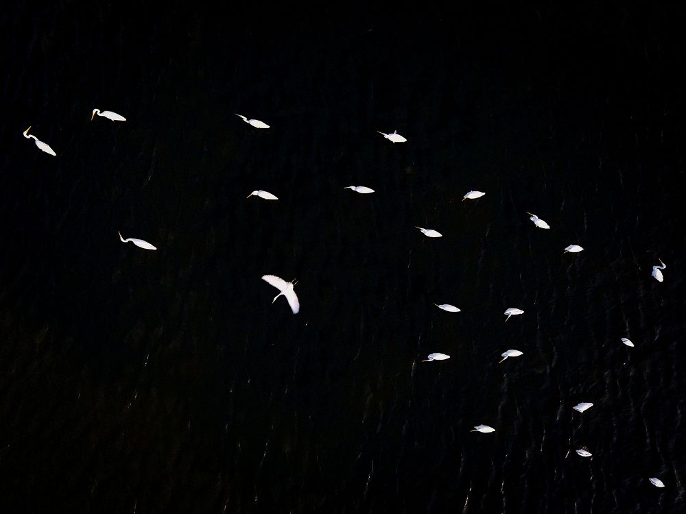 Photograph by irfan fuadi