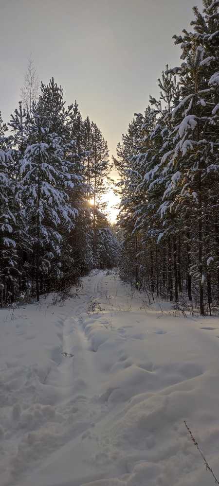 Photograph by Ольга Васильева