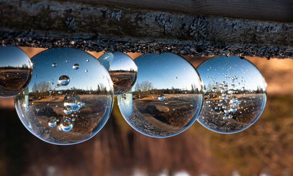 Photograph by Regina Gurjanova