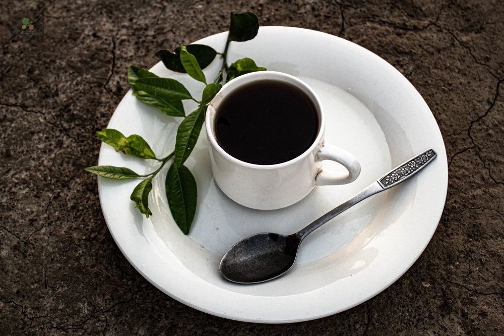 Photograph by Lungisani