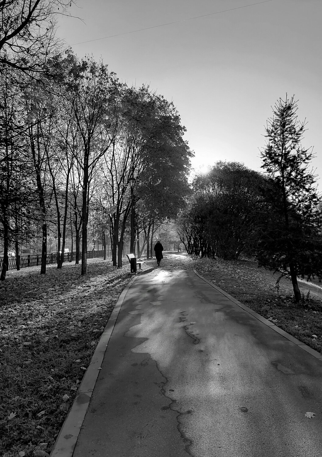 Фотография #6955973
