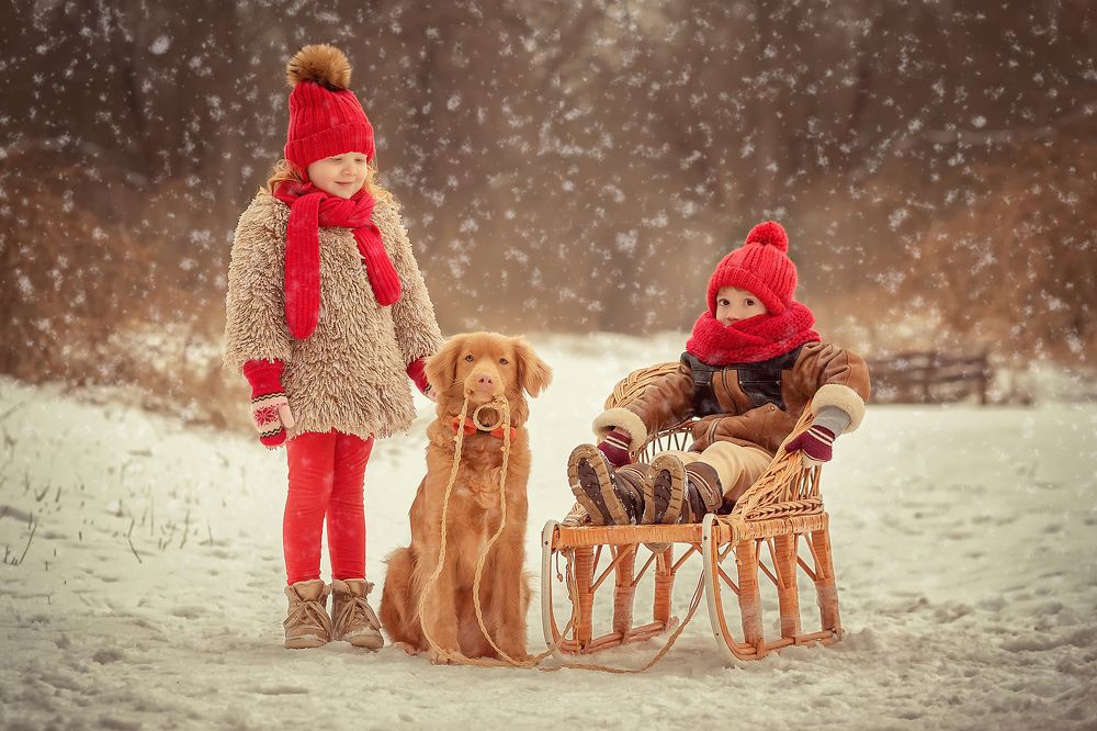 Photograph by Iryna Petrenko