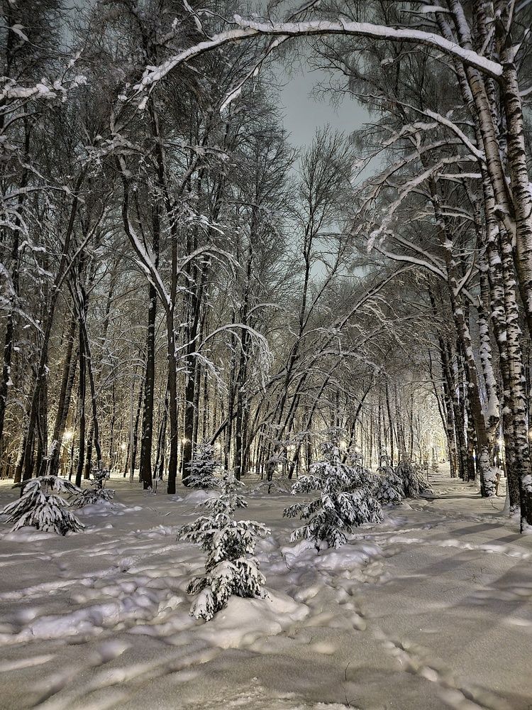 Photograph by Юлия Борт