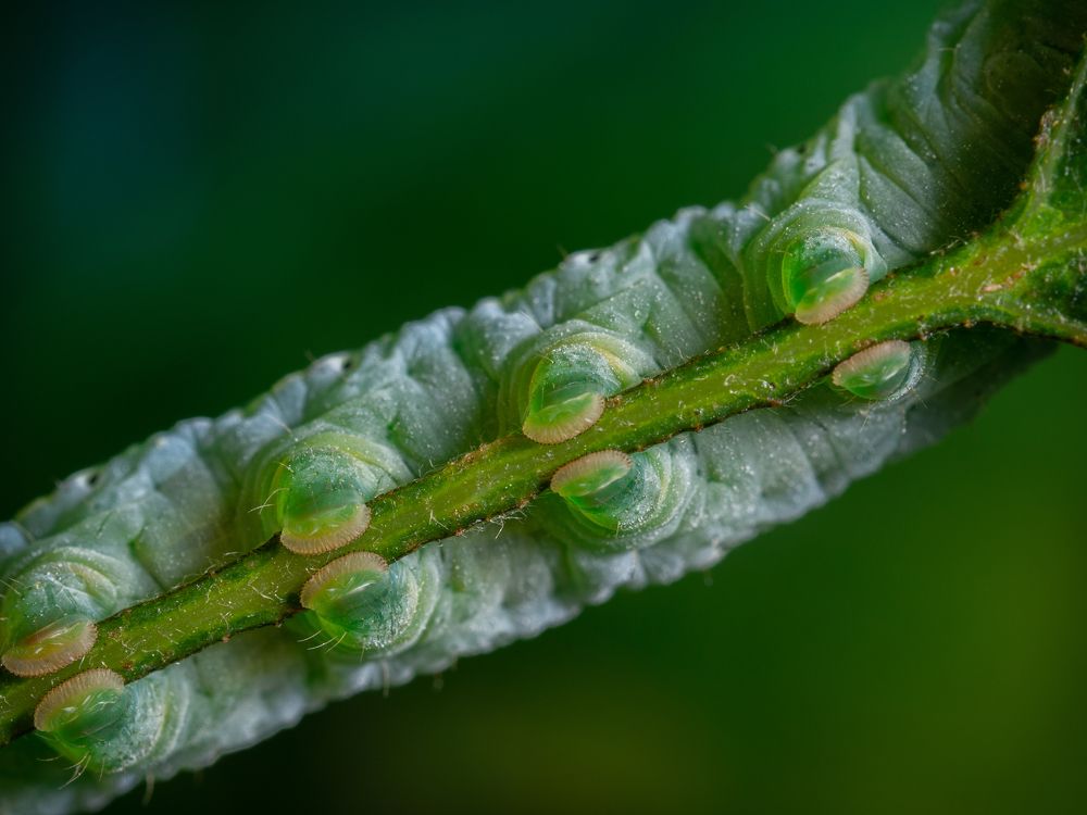 Photograph by Дмитрий Колеватов