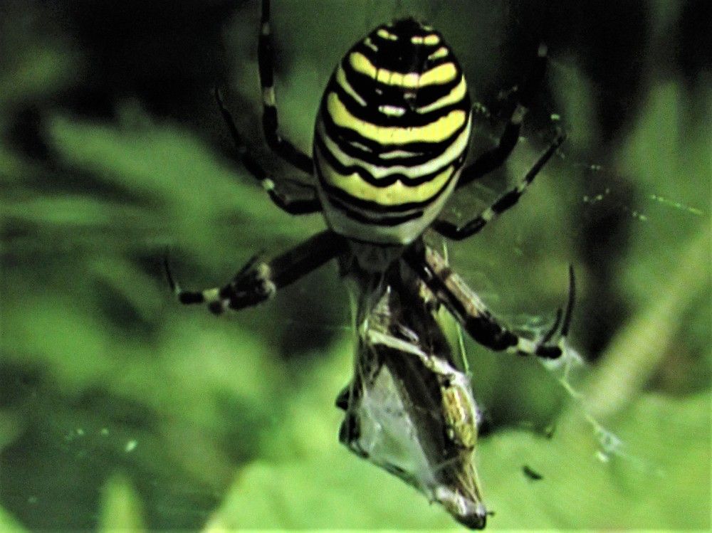 Photograph by Галина