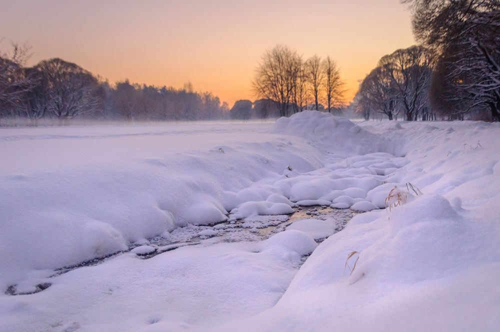 Photograph by Елизавета Белоусова