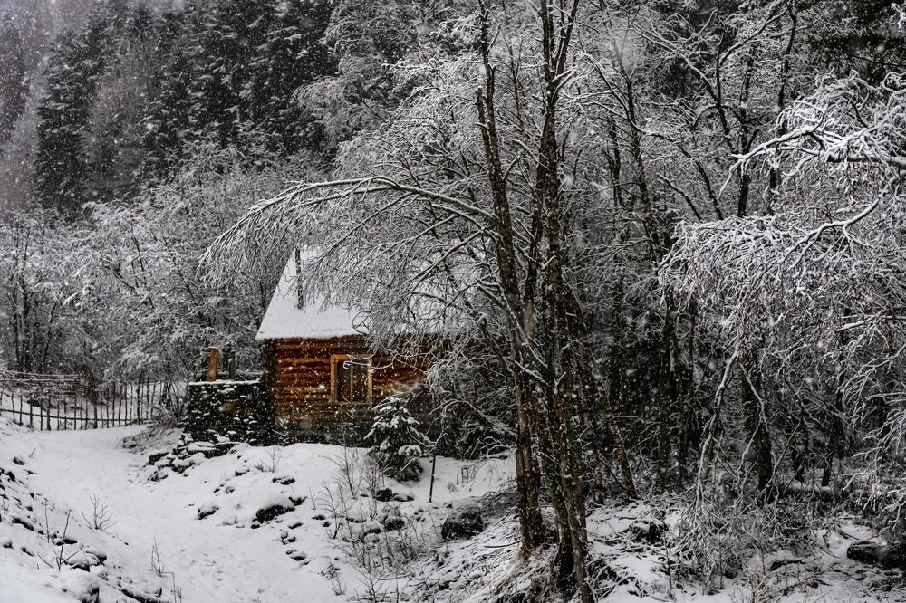 Photograph by Ирина Ульянова