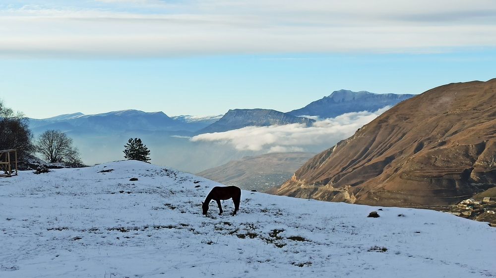 Фотография автора Курбан Курбаналиев