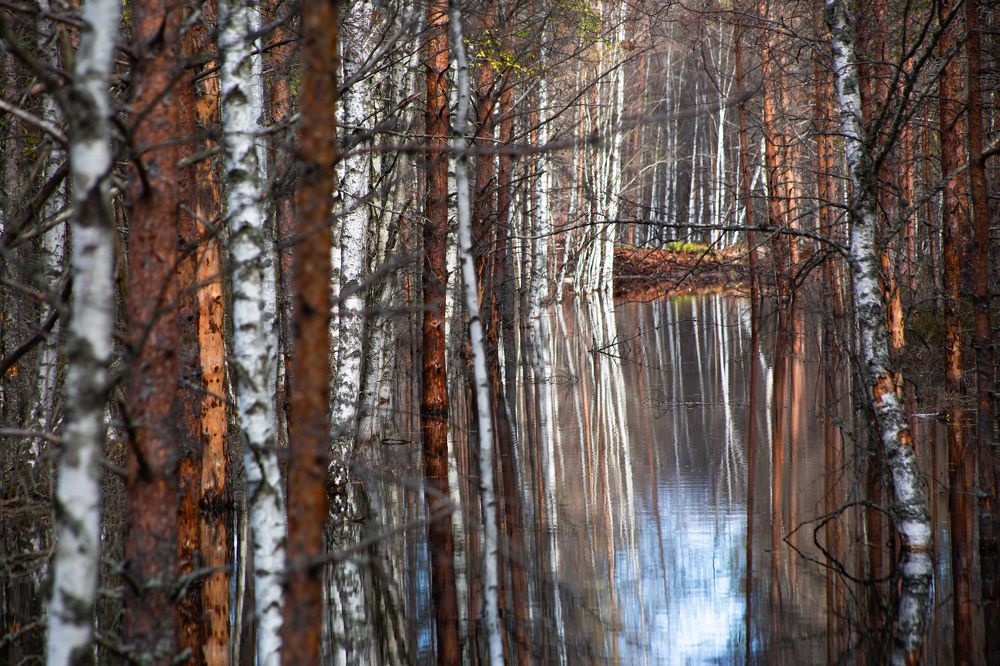 Photograph by Regina Gurjanova