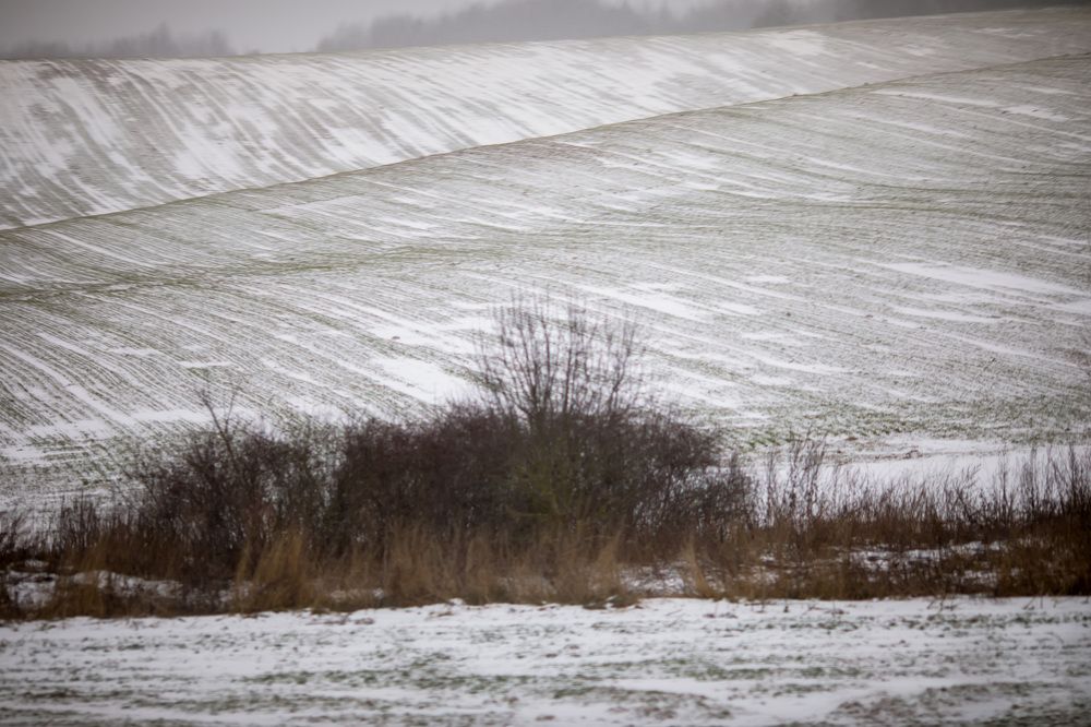Photograph by Наталья Шалкевич