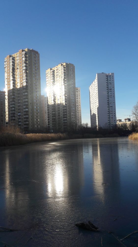 Photo #6956255