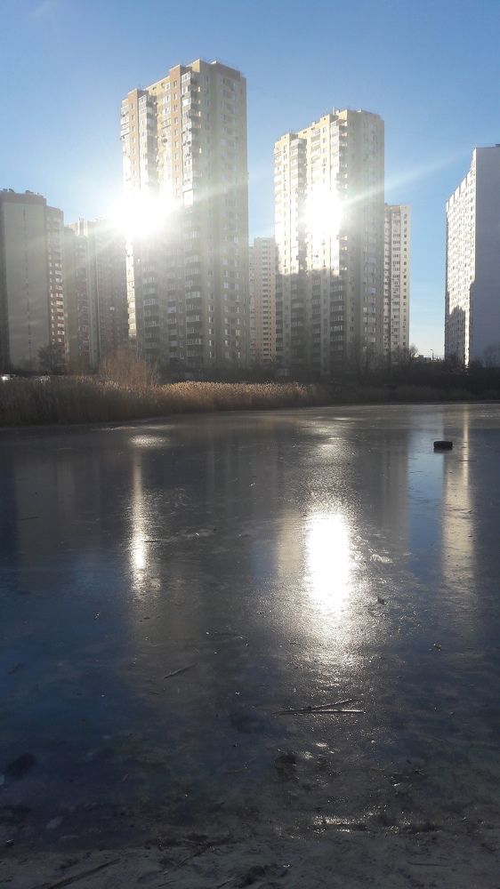 Photograph by Людмила Хоменко