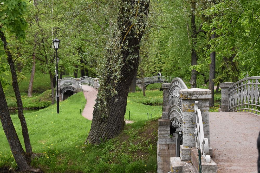 Фотография автора Наталья Сероглазова