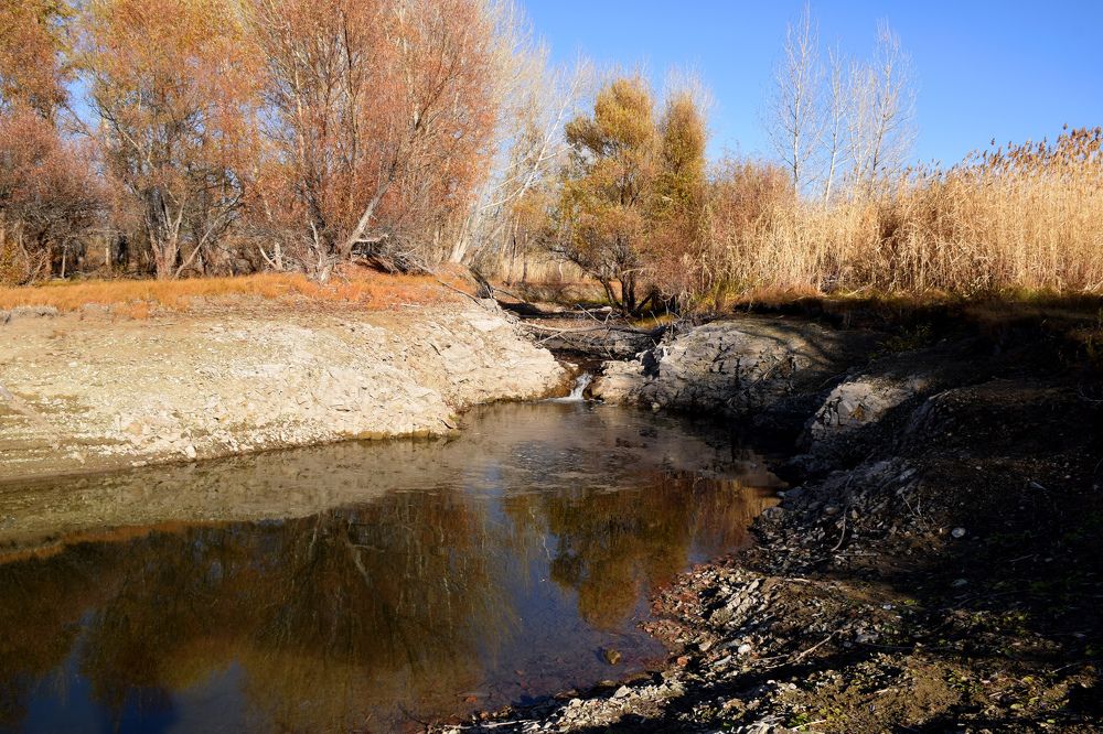 Photograph by Татьяна Дорожко