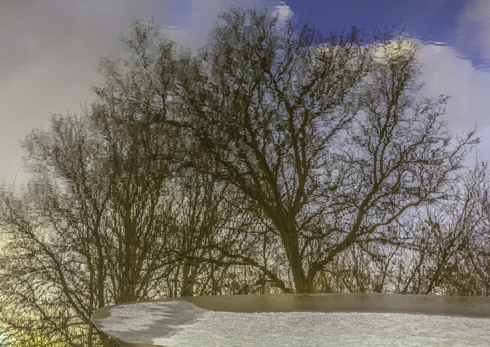 Photograph by Ринат Файзуллин