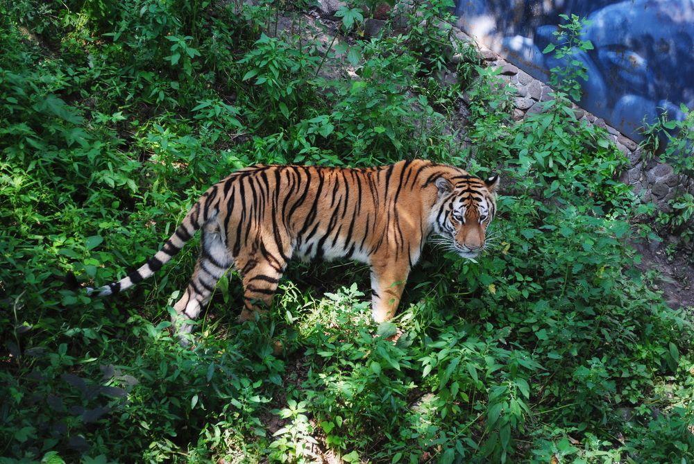 Photograph by Вера Звягинцева