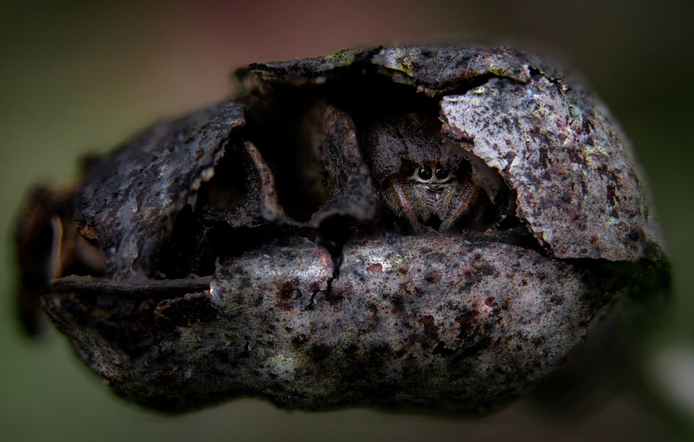 Photograph by Yaniv Abramovitz