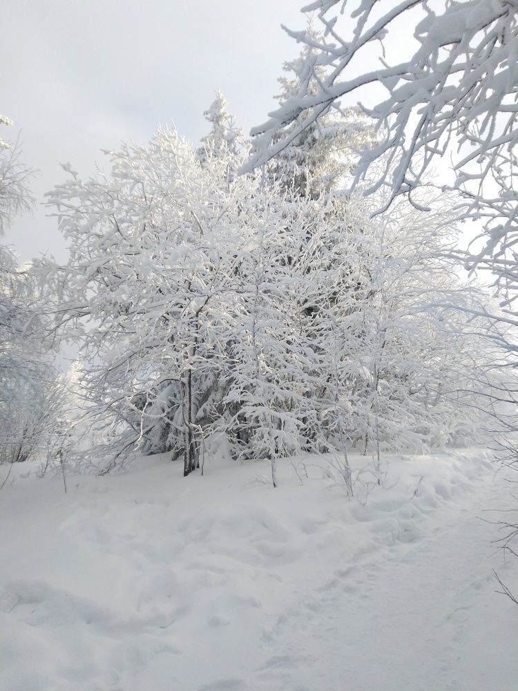 Photograph by Наталья Шулятина