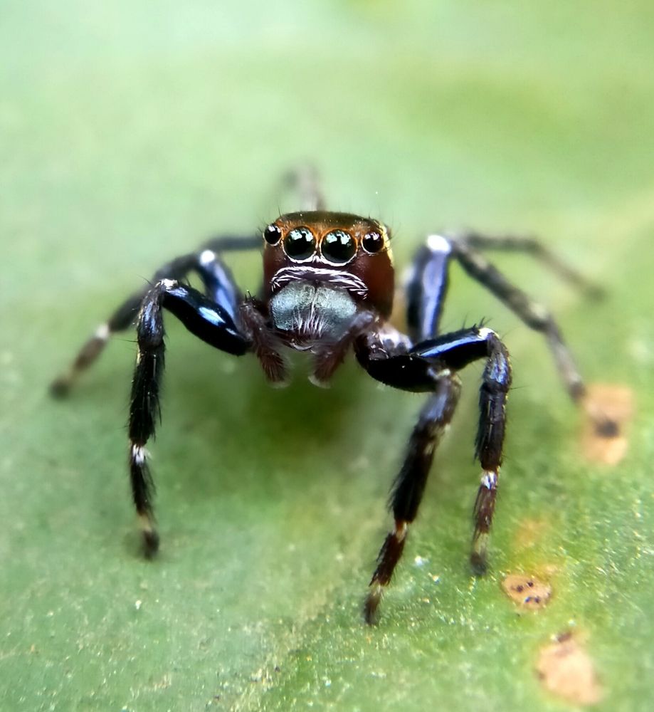 Photograph by Sajal Menon