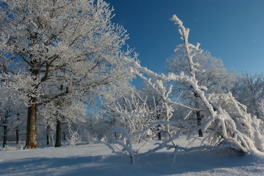 Photograph by Александр Кизим