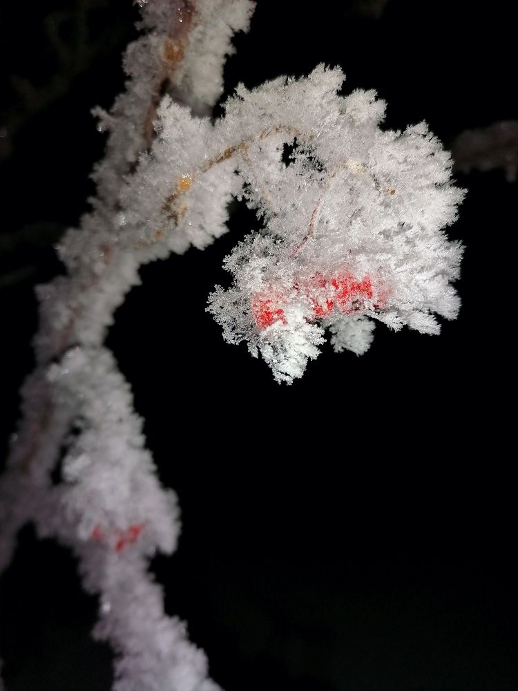 Сказочный иней