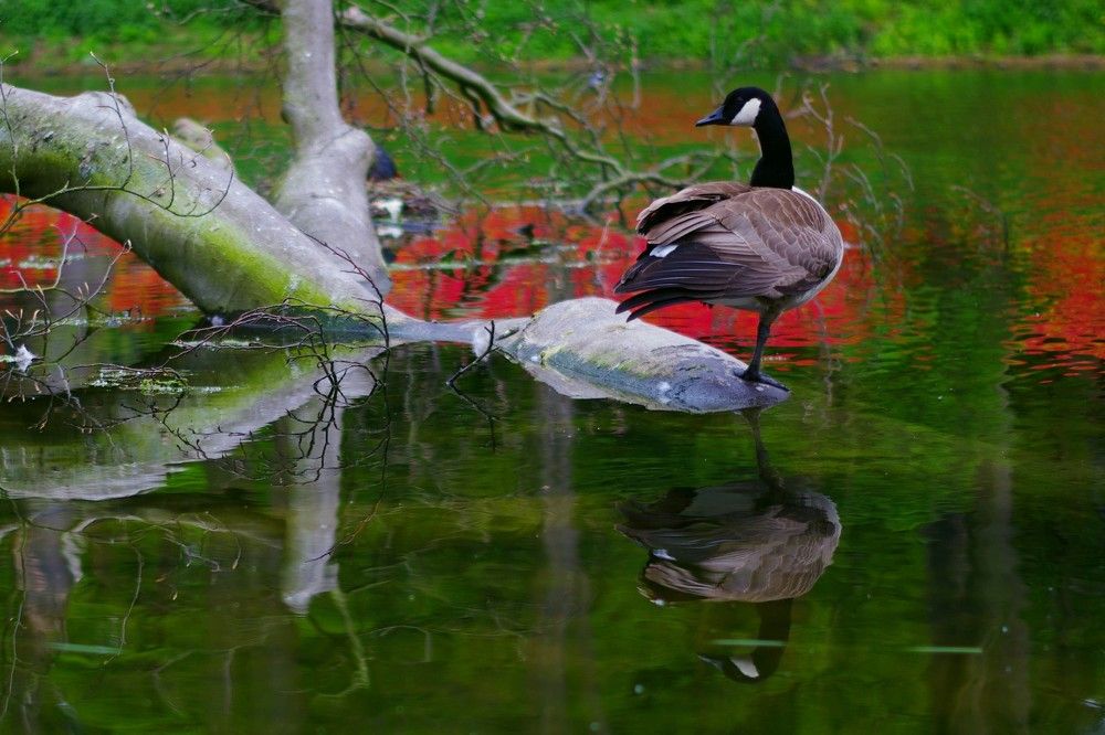 Photograph by Alexandr Bushmelev