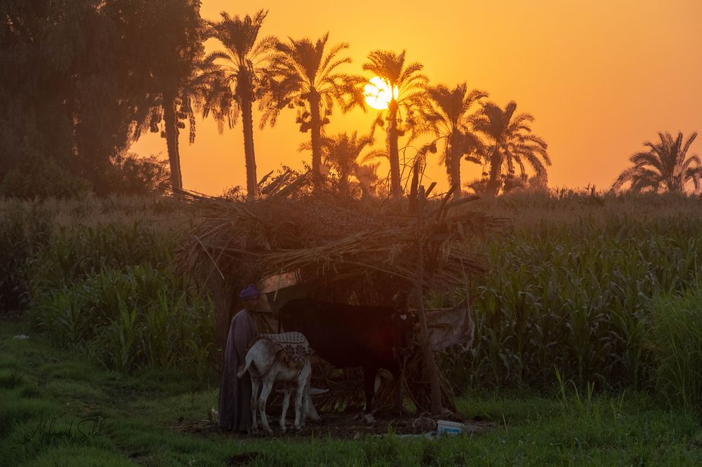 Photograph by Mahmoud Gomaa