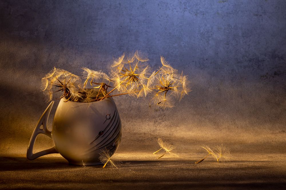 Photograph by Игорь Копцев