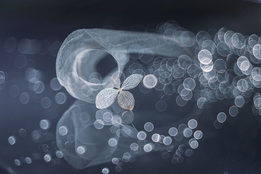 Photograph by Игорь Копцев