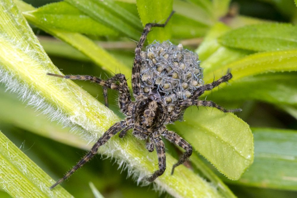 Photograph by Олесь