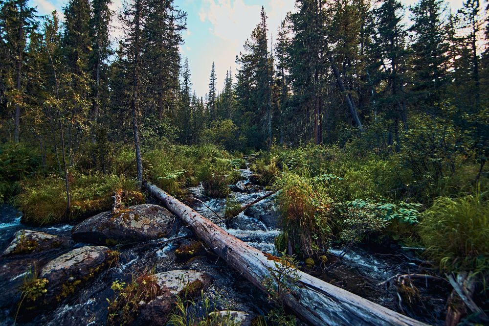 Мост через лесной ручей.