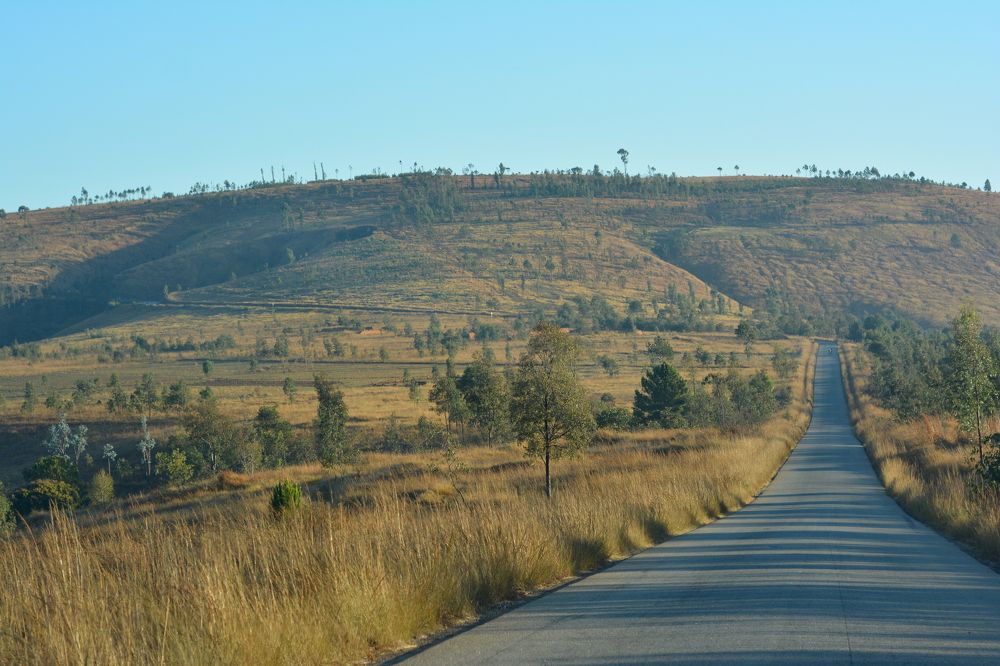 Road to Majunga