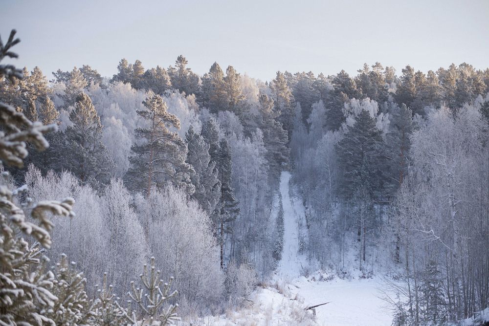 Photograph by Елена Рюмкина