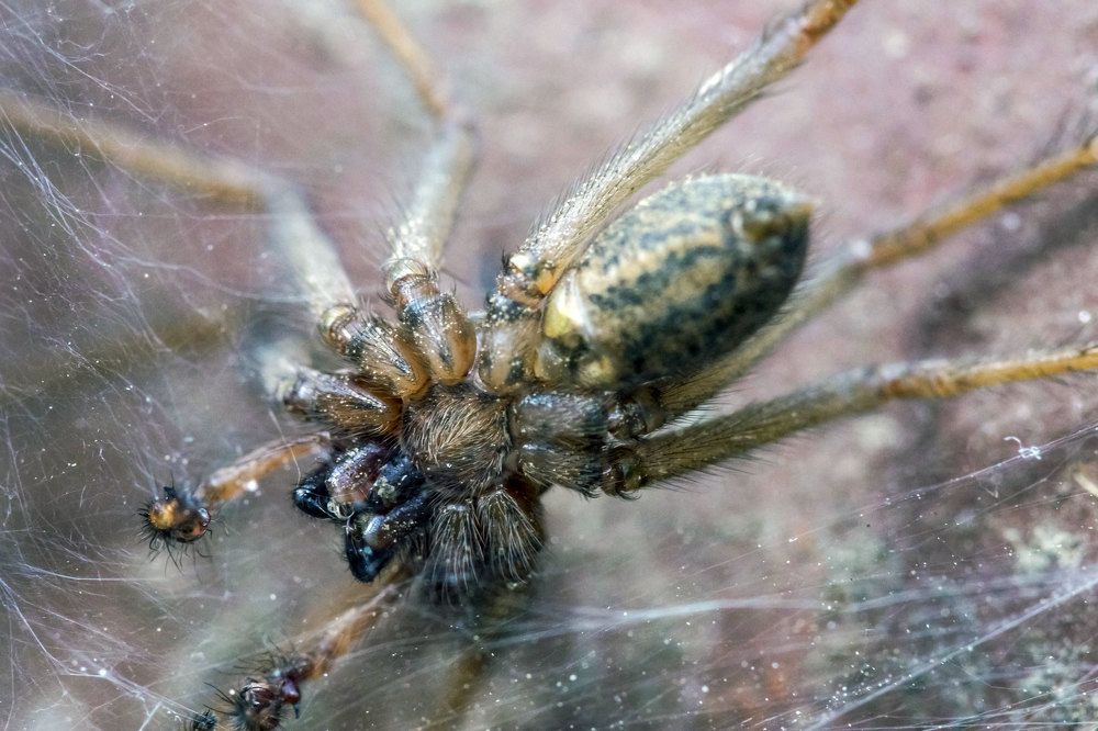 Photograph by Олесь