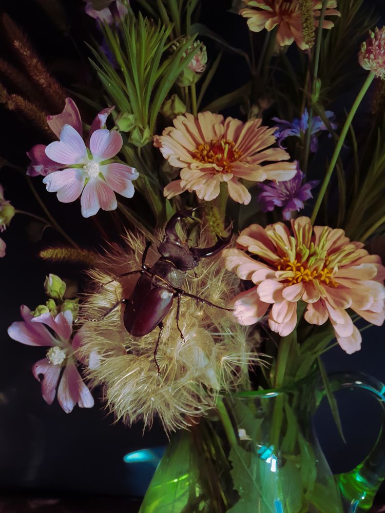 Photograph by Margarita Bovt