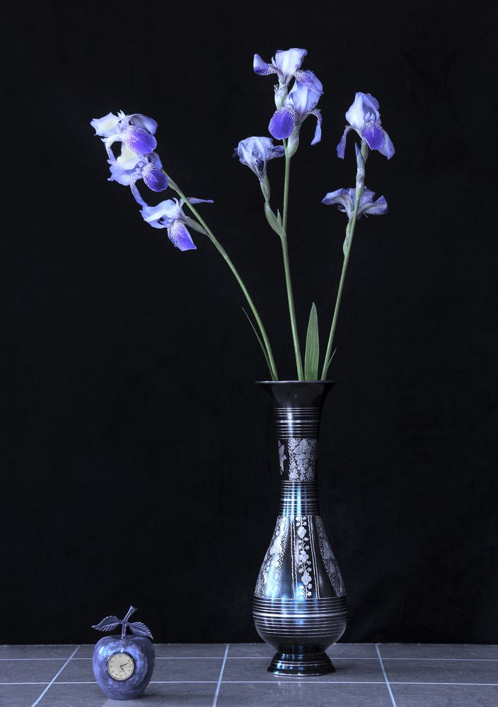 Photograph by Владимир  Асриян