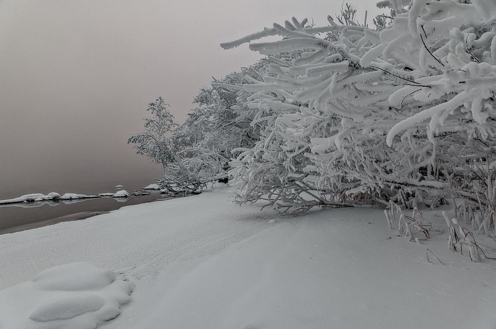 Photograph by Дмитрий Бухтик