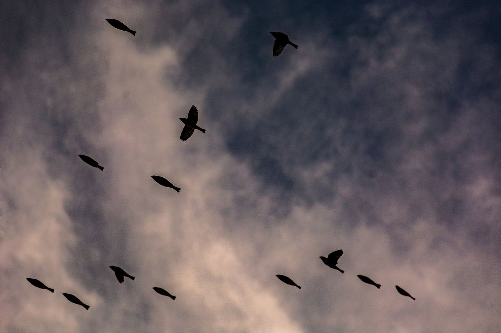 Photograph by Mahmoud Gomaa