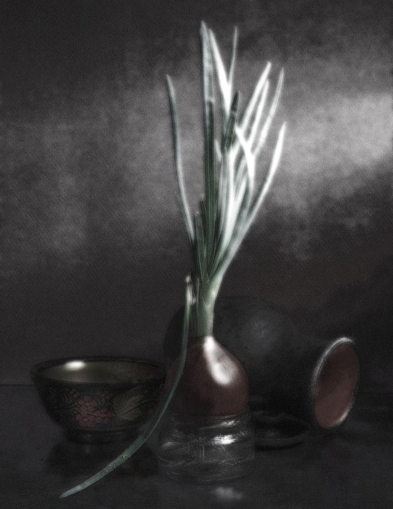 Photograph by Владимир  Асриян