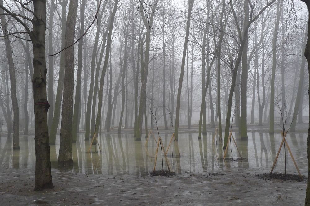 Photograph by Харис Шахмаметьев