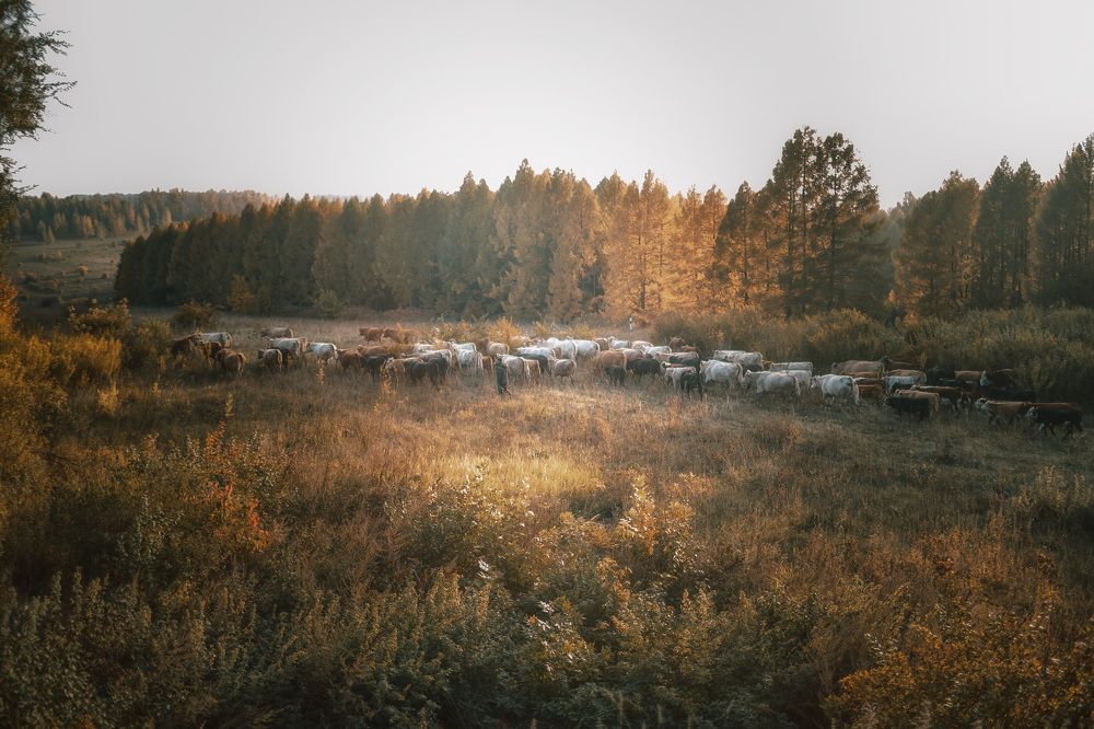 Photograph by Бибиков Сергей