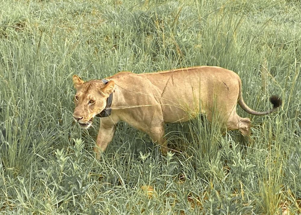 Photograph by Татьяна Мазепова