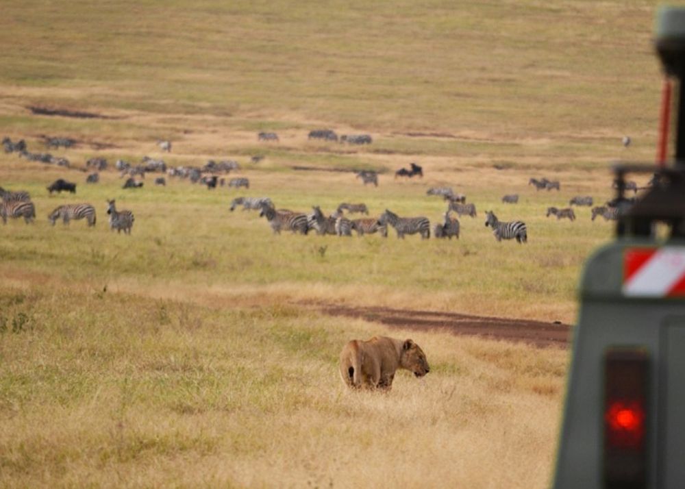 Фотография автора Татьяна Мазепова