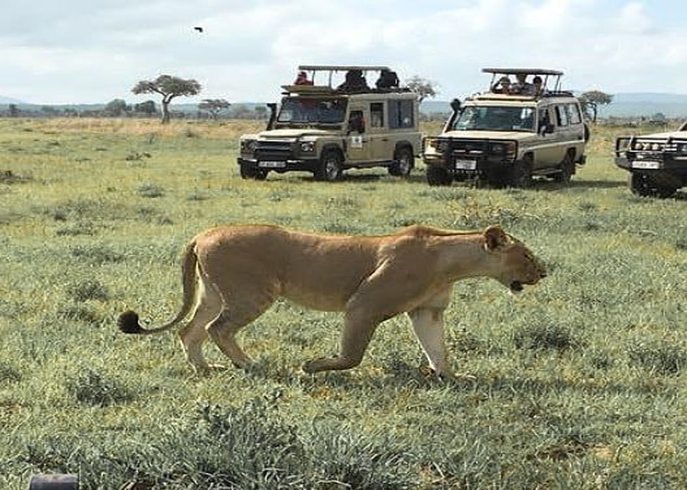 Фотография автора Татьяна Мазепова